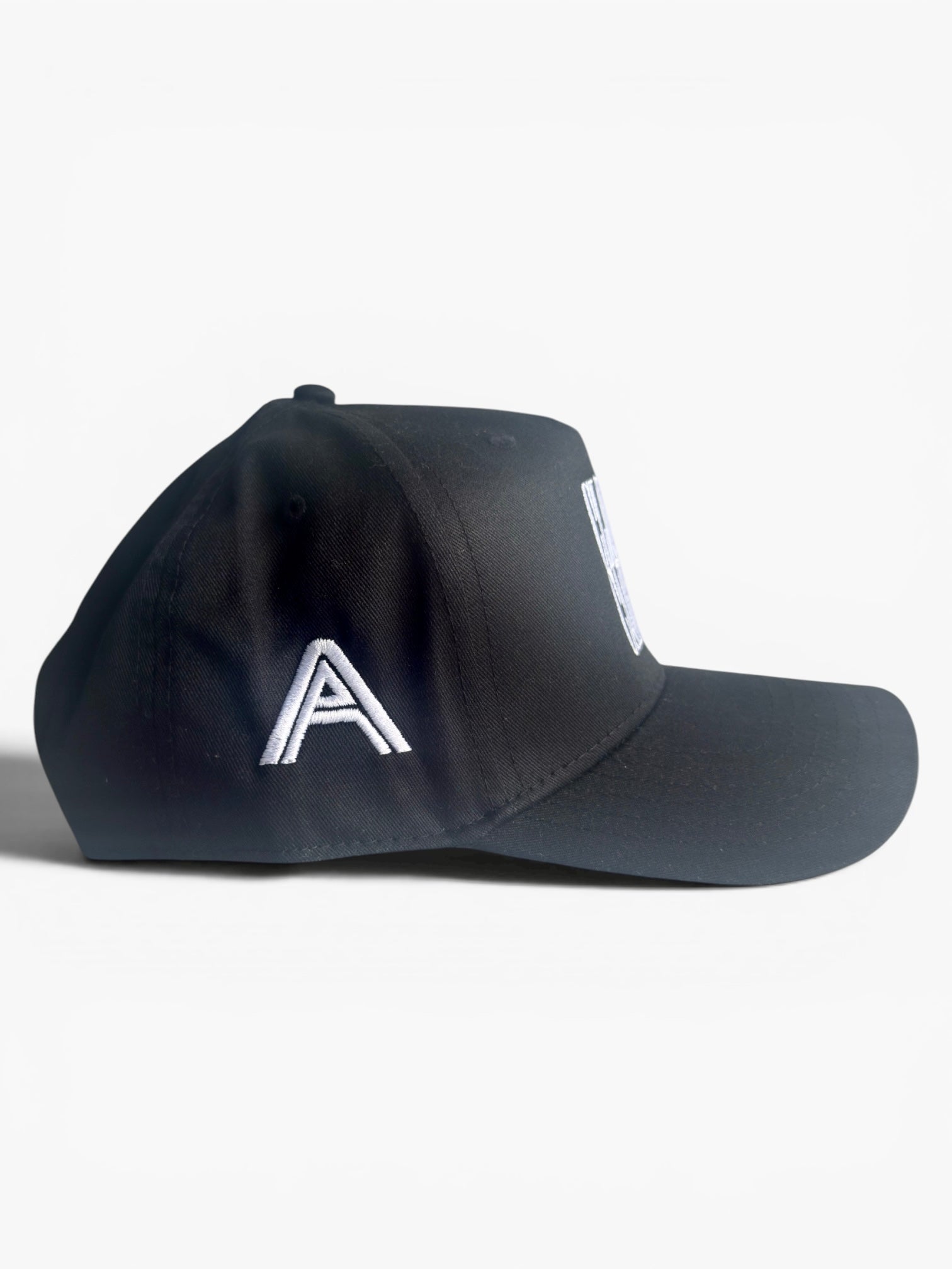 Signature Snapback (3 Colors)